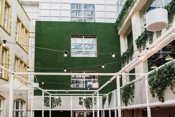 Greenhill Mooswände - immer ein grünes Kunstwerk