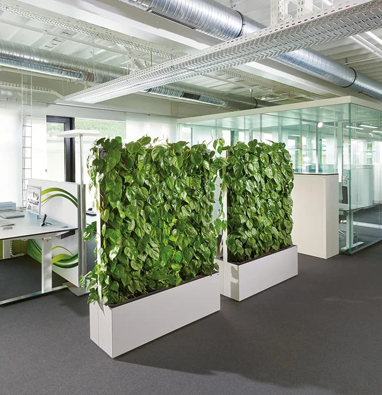 Nature Office 2