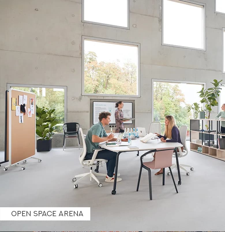 Open Space Arena 4