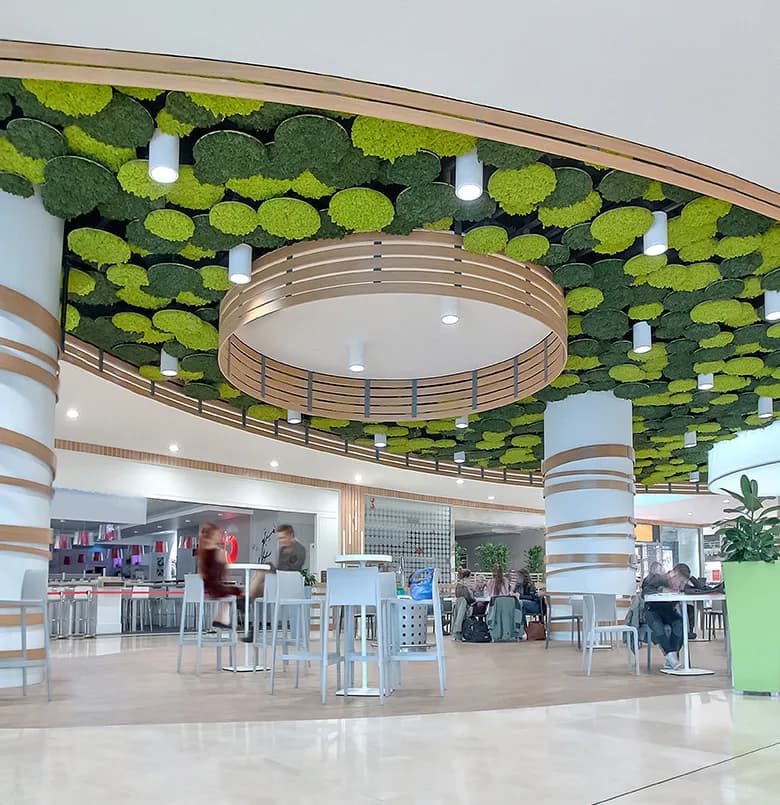 Nature Office 5