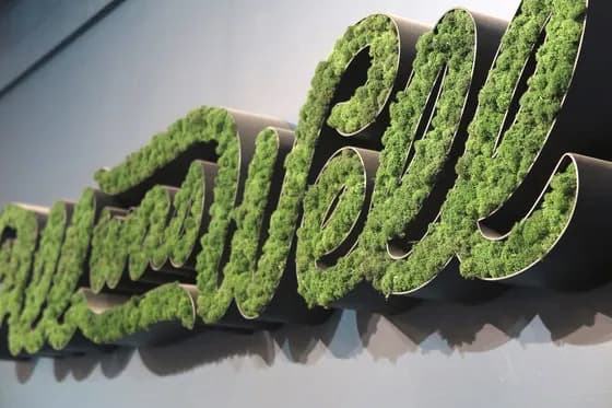 Individuelle immergrünen Mooswand Elemente